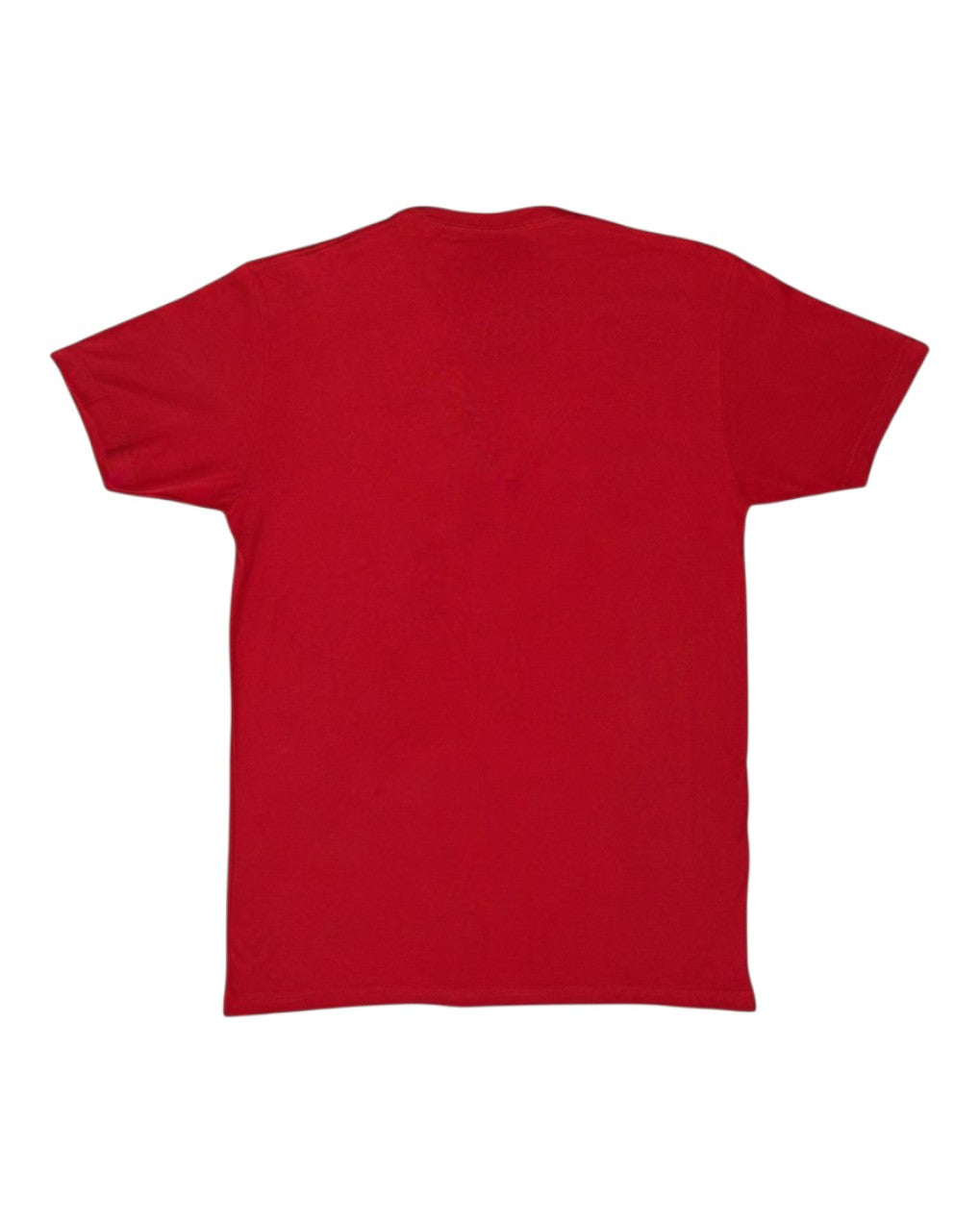 Recovery Is Possible/ Unisex Crewneck T-Shirt / Red